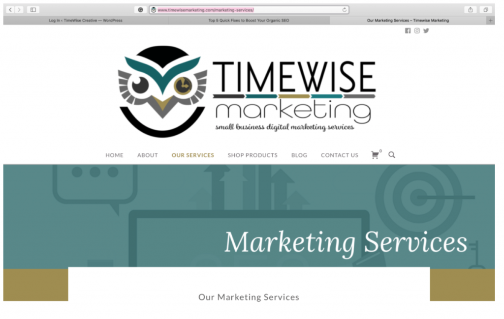 Timewise Marketing Screen Shot